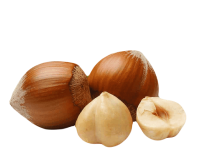 hazelnuts